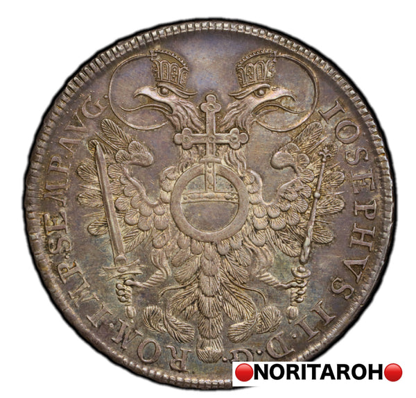 【高鑑定・レア】1768年　ニュルンベルグ　都市景観　ターラー銀貨　NGC MS61